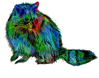 Raccoon(2OG) Giclée Print - Cavanata - 8" X 10" Raccoon Graphic Fine Art Print, Original Illustration, Animal Art