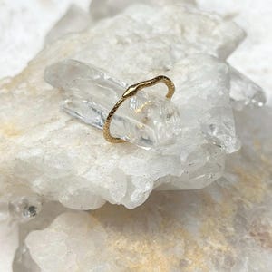 OUROBOROS 18K Gold Serpent Ring, Tarnish Resistant Plated Snake Ring, Dainty Gold snake rings, serpent rings, Dainty stacking ring image 2