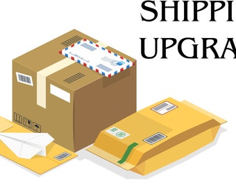 Upgrade der Versand auf Bestellung bereits bearbeitet - Priority Mail 1 -4 Tag