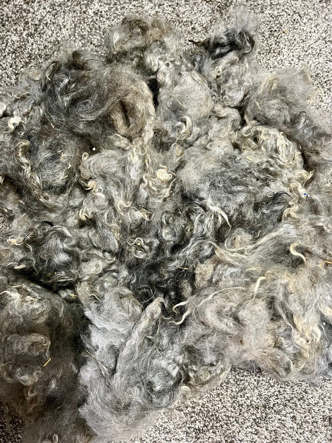 Raw Mohair Adult Buck Etsy