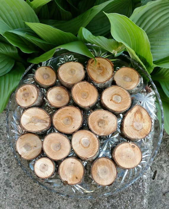 Cherry Wood With Bark Organic Hand Selected Seasoned Disk Slices