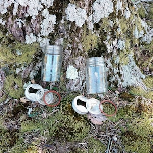 Op de afbeelding: Twee glazen potten met deksels op een bed van groen mos en korstmossen. De potten staan op de grond bij een boomstam.