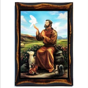 Sint Franciscus van Assisi - San Francesco - San Francisco - Saint François - Franz von Assisi - Franciscus van Assisi - Francisco de Assis