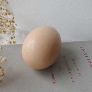 Vintage broody egg, large dummy egg, painted decoy faux hens egg, vintage brood chickens egg, original patina, vintage farmhouse, Easter