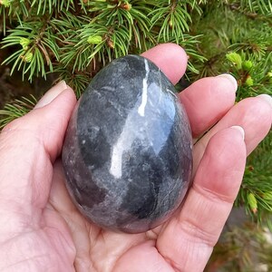 May include: A polished, oval-shaped stone with a dark gray and white marbled pattern. The stone is held in an open hand, with a backdrop of green evergreen branches.