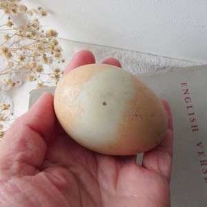  Huevos falsos de plástico para huevos de Pascua, accesorios de  huevos de simulación, cesta de huevos de plástico de Pascua, huevos de  gallina realistas para regalos de Pascua, pintura (amarillo) 