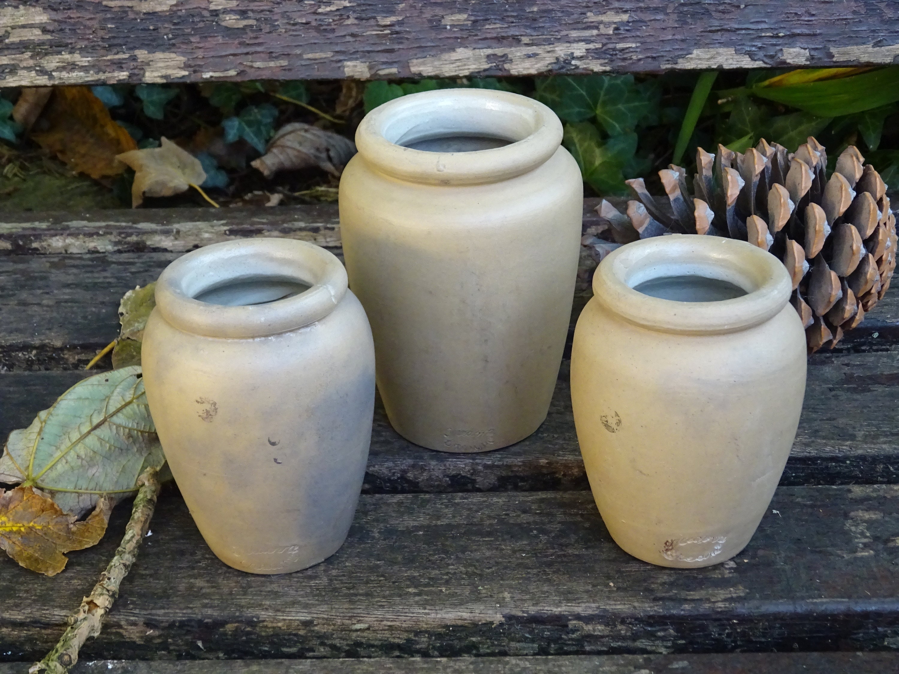 19世紀 英国アンティーク/ヴィクトリア期/クロテッドクリーム陶器ポット Antique cream pot - Etsy 日本