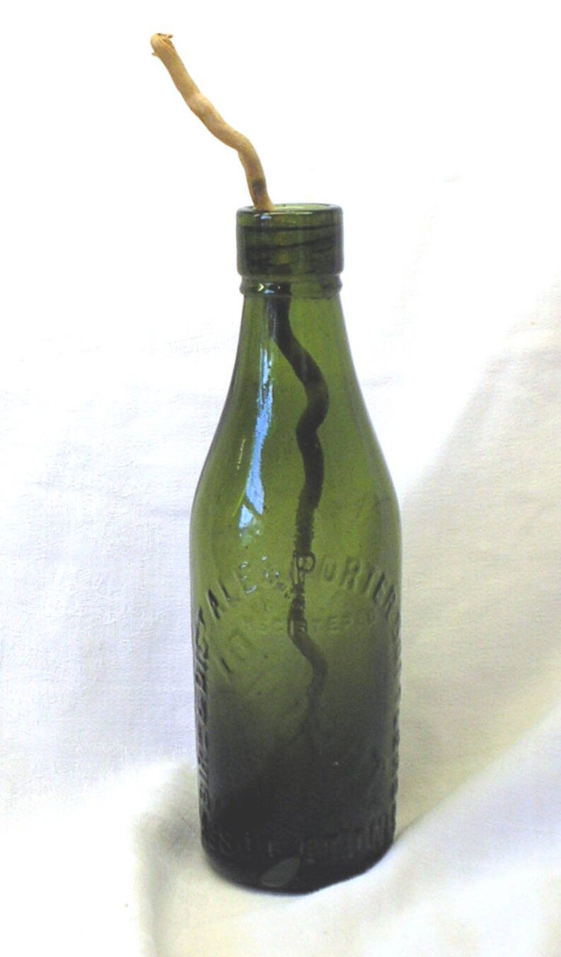 Antique Green Beer Bottle. Victorian / Edwardian Birbot CS & Etsy