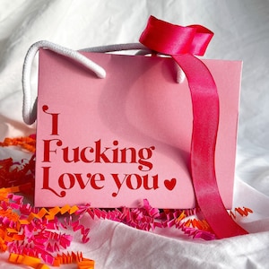 Personalised Gift Bags | Multiple Sizes |Valentines Day Gift Bags | Pink Gift Bag| Personalised Gifts | Funny Gift | Swear Gifts