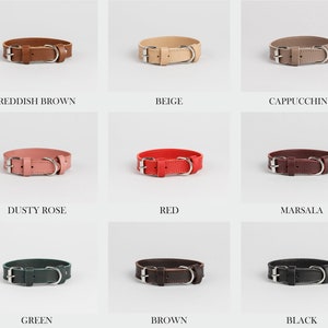 Personalized leather collar for pets, leather dog collar with nameplate, cat collar black, beige, brown, green and red image 9