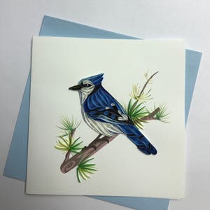 Blue Jay Quilling Gruß-Karte