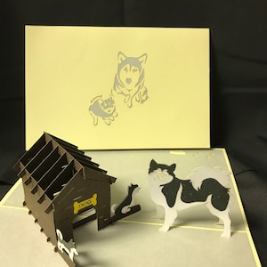 Husky Dog 3-d pop up card