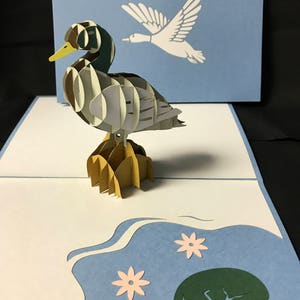 Mallard Duck 3-D Pop Up Card, 3D Birthday Card, Popup Card, Greeting Card, 3D Popup Card