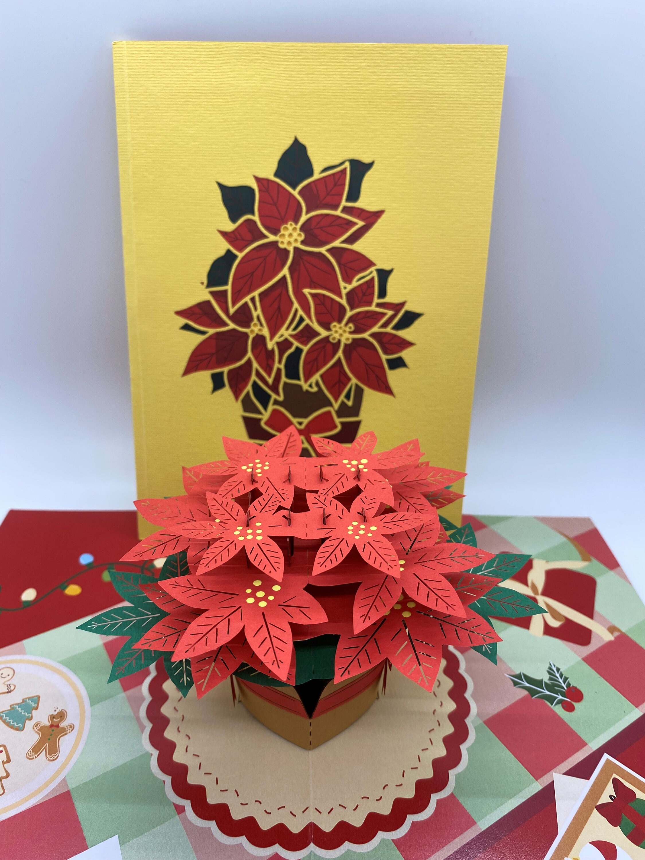 Birch Poinsettia Pop-Up Card