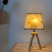 see more listings in the Lamps(hades) section