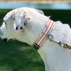 Striped Dog Collar Red and White, Handmade Dog Collar, Pet Collar, Hemp Dog Collar, Cotton Dog Collar, Vegan image 6