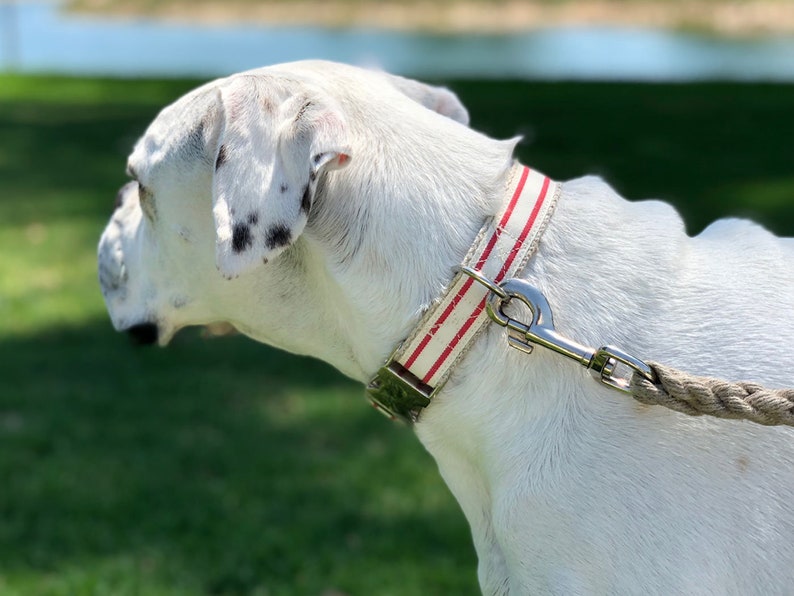 Striped Dog Collar Red and White, Handmade Dog Collar, Pet Collar, Hemp Dog Collar, Cotton Dog Collar, Vegan image 6
