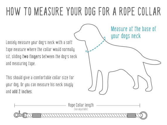 dog neck rope