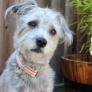 Striped Dog Collar Red and White, Handmade Dog Collar, Pet Collar, Hemp Dog Collar, Cotton Dog Collar, Vegan image 5