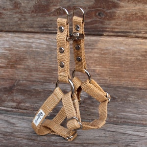 Studded Tea-Stained Just Hemp Dog Harness, Handmade, Natural Step-In Harness, Adjustable, Sizes X Small - X Large