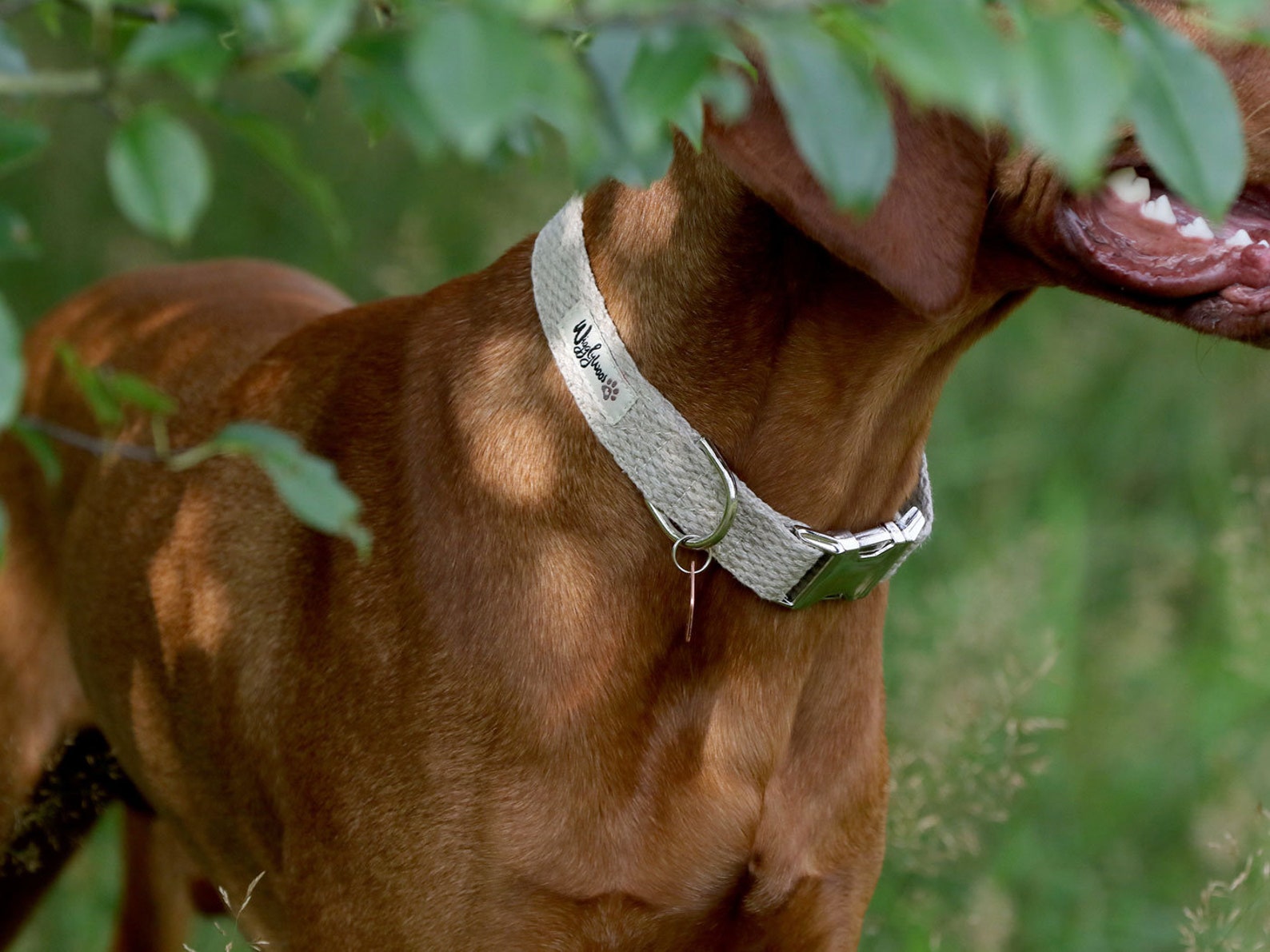 Just Hemp Dog Collar Handmade Natural Dog Collar Etsy