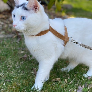 Tea-Stained Just Hemp Cat Harness, H-Style Harness, Adjustable Harness, Secure Fit Cat Harness, Eco Friendly