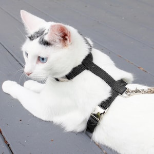 Black Just Hemp Cat Harness, H-Style Harness, Adjustable Harness, Secure Fit Cat Harness, Eco Friendly, Natural Cat Harness
