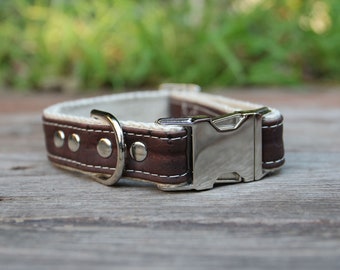 Studded Cork Dog Collar Saddle Brown on Hemp Webbing  - Vegan Dog Collar, Pet Gift, Pet Collar, Brown Dog Collar