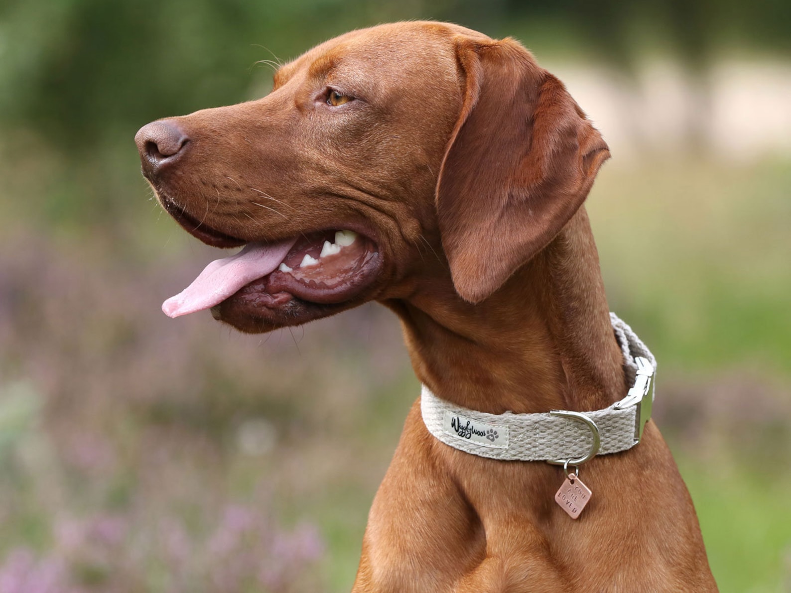 Just Hemp Dog Collar Handmade Natural Dog Collar Etsy