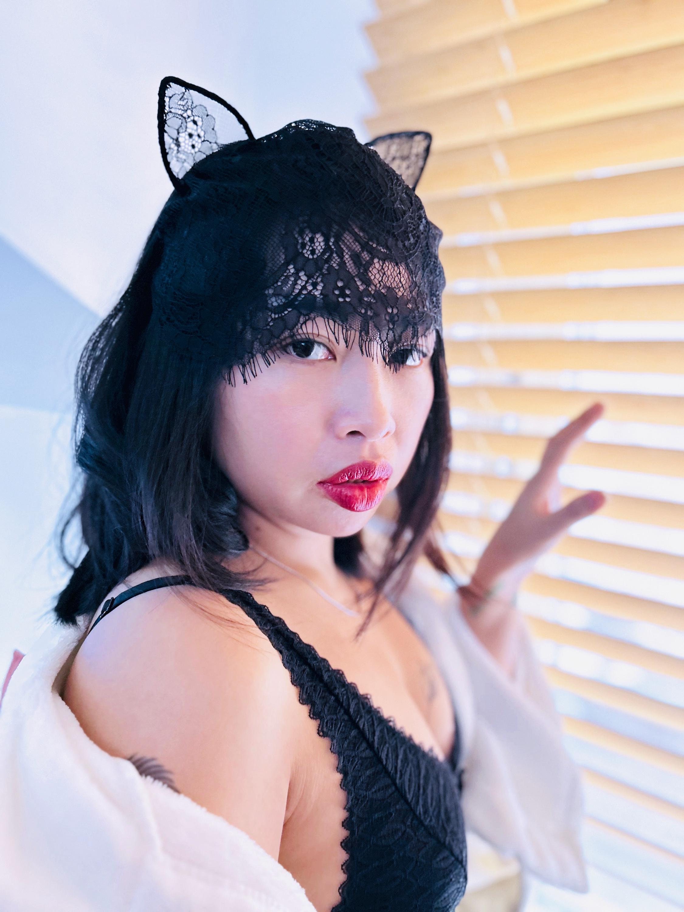 Black Lace Cat Ears Headband With Veil - Masquerade Festival 