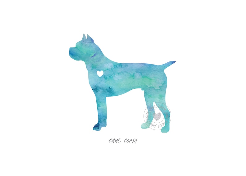 Cane Corso Dog Watercolor Painting Digital Art Print Etsy