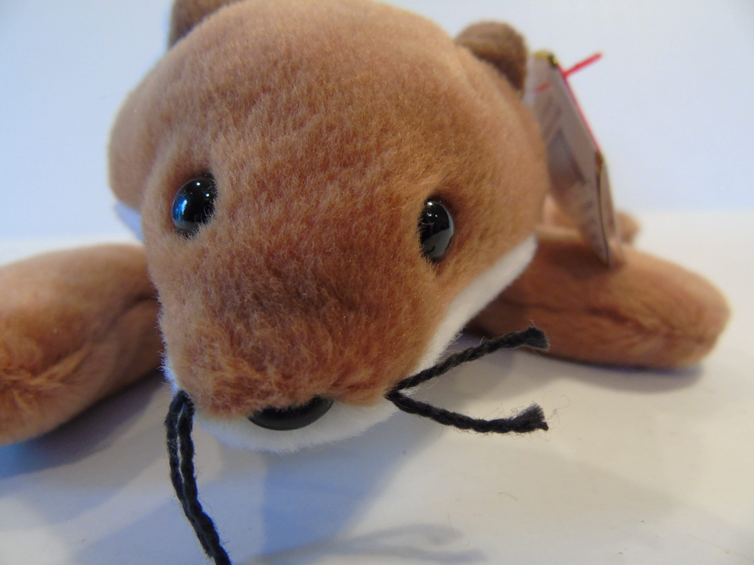 Ty beanie baby sly the cheap fox value