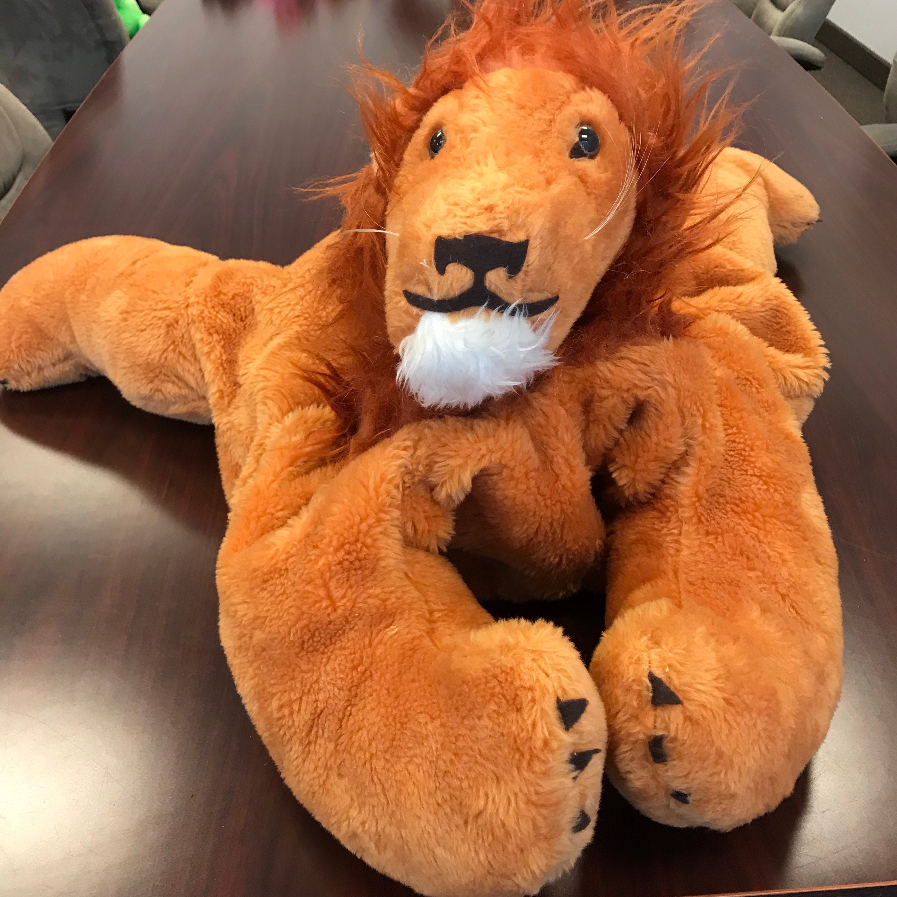 Lion sales pillow pet