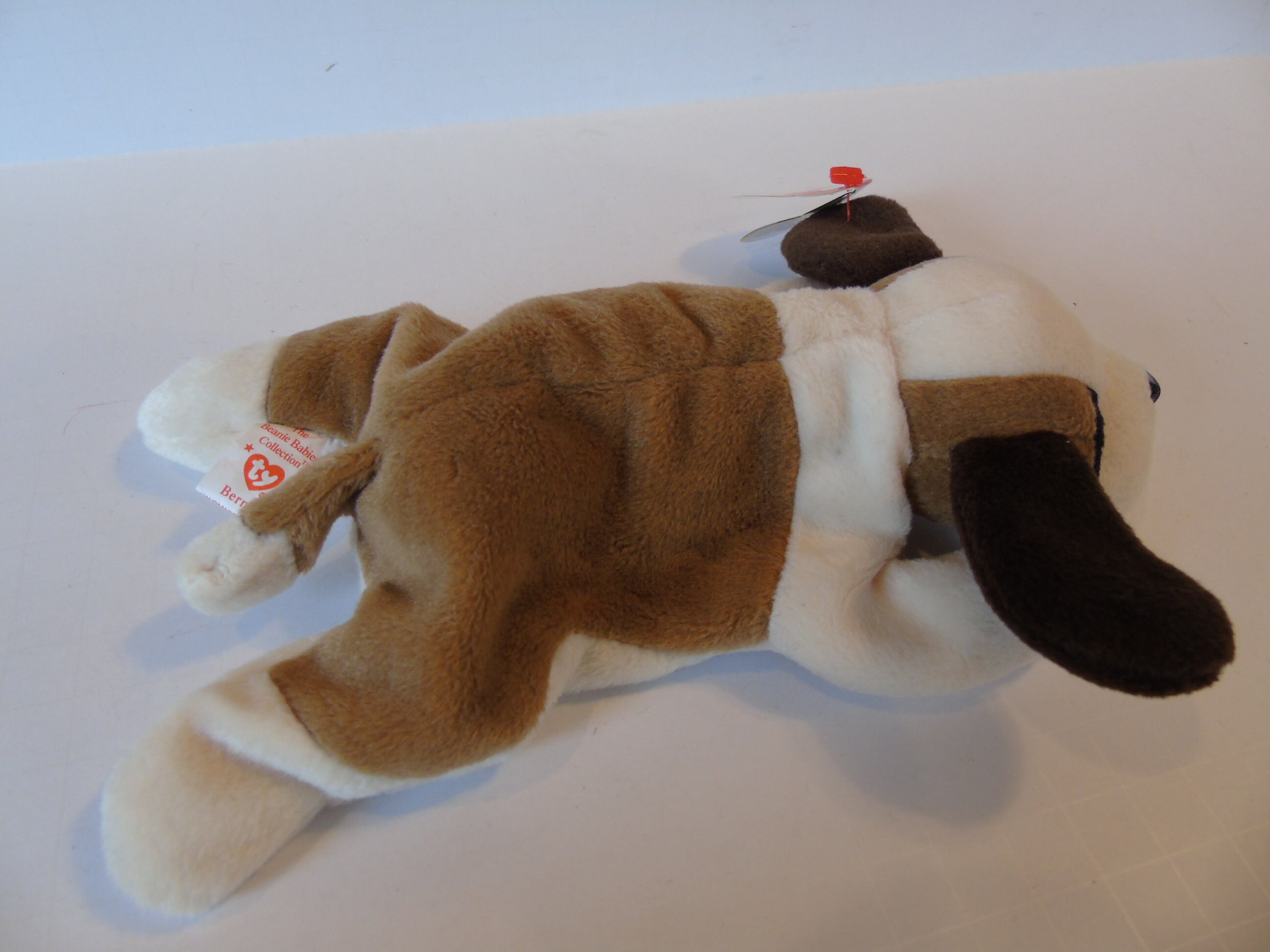 Ty Beanie Babies Bernie The Dog New With Tag 10-3-96 Style | Etsy