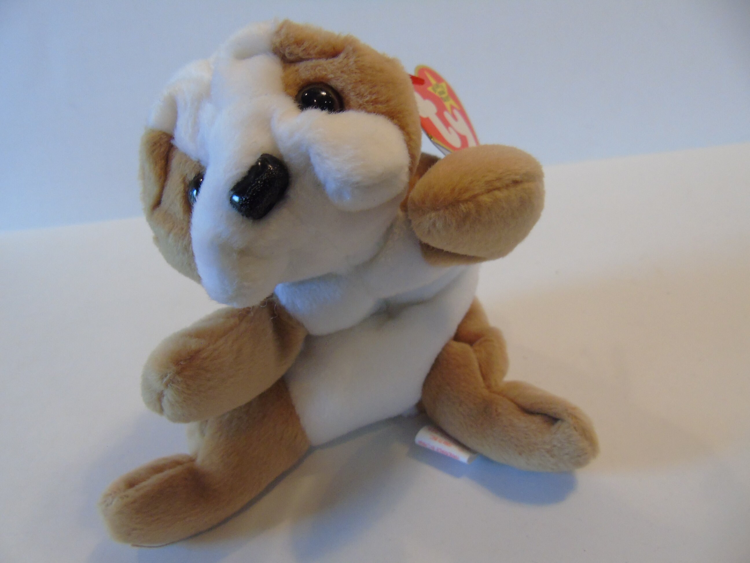Ty Beanie Babies Wrinkles the Dog Birth Date 5196 Style 4103 Etsy