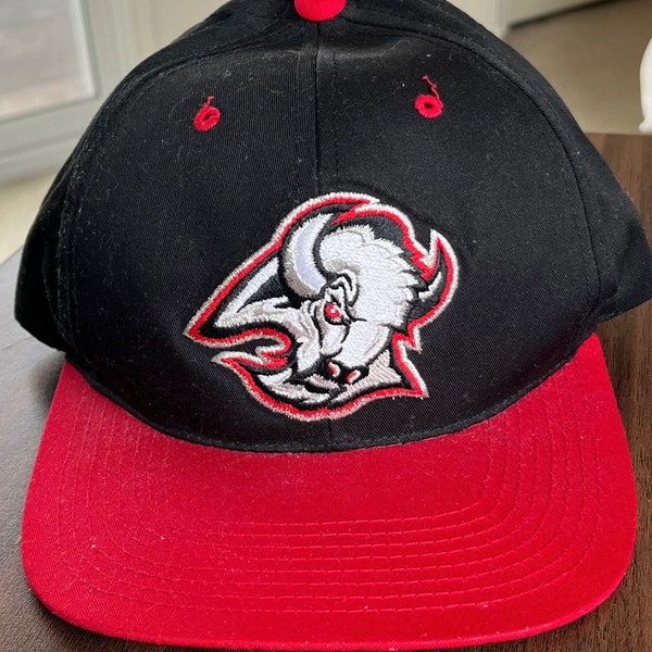 Vintage Snapback Hat jaren 1990 Buffalo Sabres NHL Hockey Cap Geit Hoofd G. C. C. Kwaliteit Sinds 1903 Cap One Size Fits All