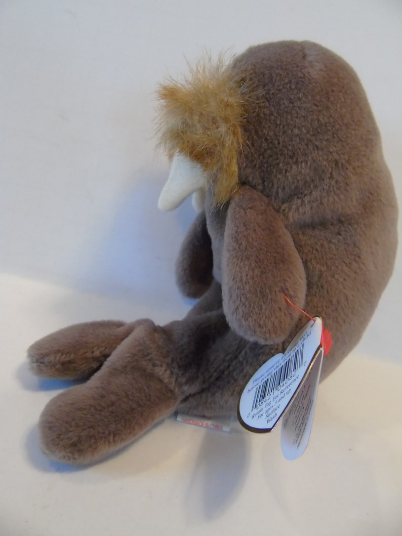 Ty Beanie Babies Jolly the Walrus Birth Date 12296 Style Etsy