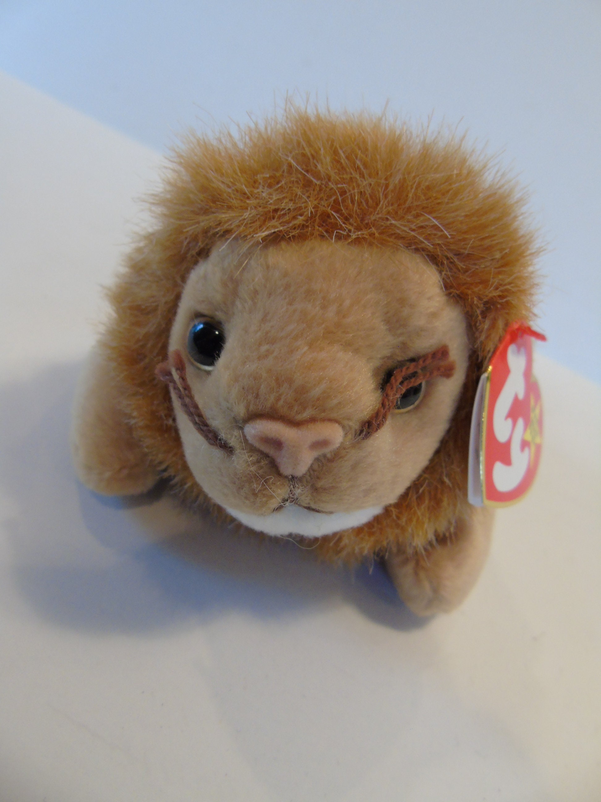 Roary beanie baby value 2025