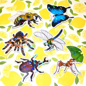 Holographic 3 inch bugs sticker pack of 6