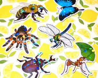 Op de afbeelding: Zes iriserende holografische stickers met verschillende insecten en een blad. De stickers bevatten een bij, een spin, een libel, een kever, een mier en een vlinder.