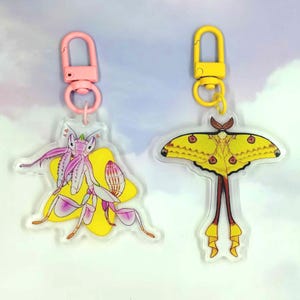 Comet moth and orchid mantis double sided 2 inch acrylic charms