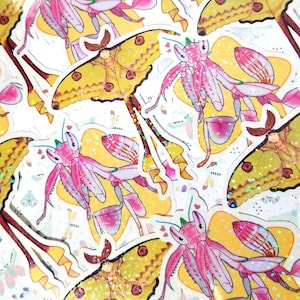 Holographic stickers of comet moth and orchid mantis