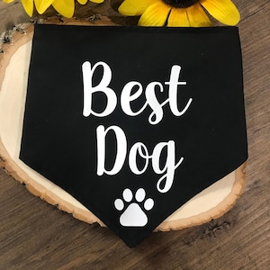 Best Dog Bandana for Wedding Bandana: 20+ Colours