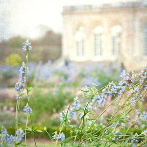 France Photography, Fine Art Photo, Wall Art, Linda Ching photo, &quot;Versailles Garden&quot;