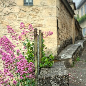 French Countryside, Fine Art Photo, Wall Art, Linda Ching photo, Spring Flowers