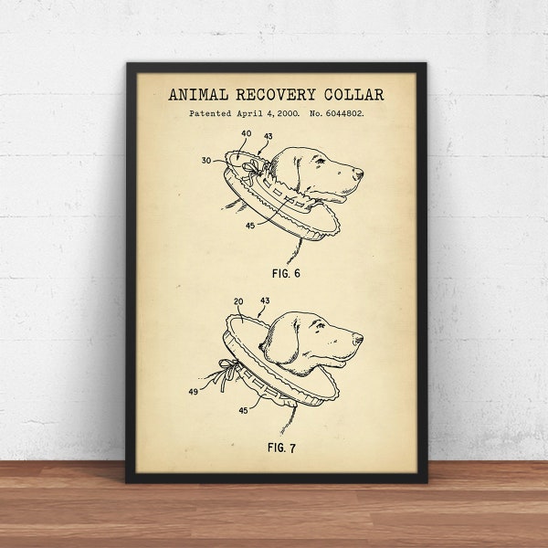 Veterinary Wall Art Etsy