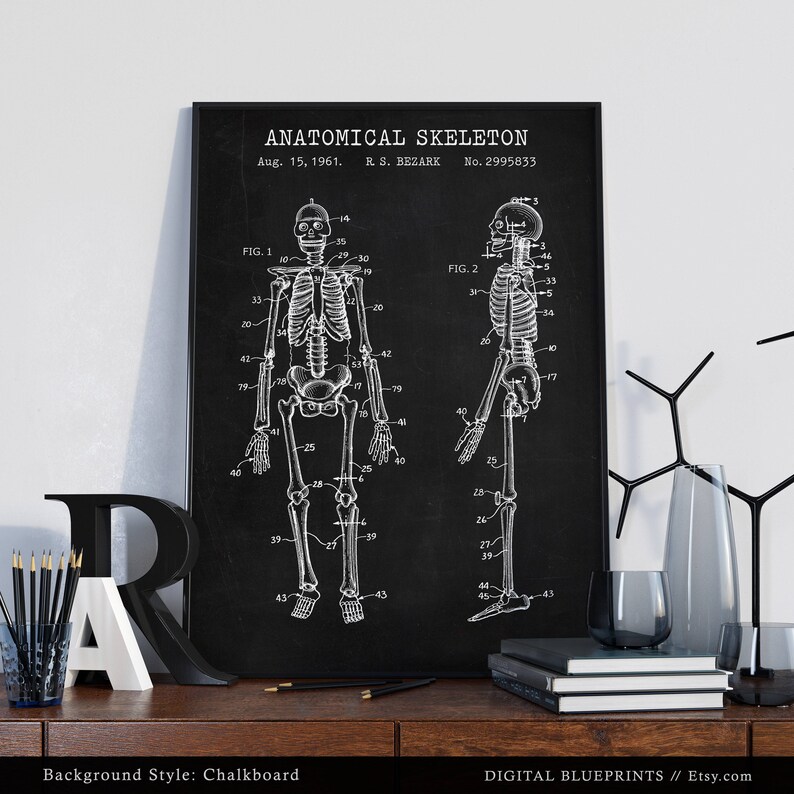 May include: A vintage anatomical skeleton patent drawing on a chalkboard background. The drawing shows a full-body skeleton in two poses, front and side views, with numbered bones. The patent information reads "ANATOMICAL SKELETON Aug. 15, 1961. R. S. BEZARK No. 2995833"