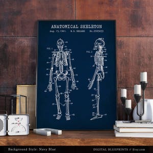 May include: A vintage anatomical skeleton patent illustration on a navy blue background. The patent is titled "Anatomical Skeleton" and is dated August 15, 1961. The patent number is 2995833.