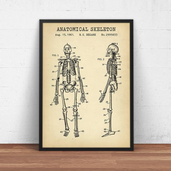 Anatomy Art, Anatomical Human Skeleton Patent Poster, Medical Decor Doctors Office Nurse Gift, Medical Student Gift Art Hospital Wall Art