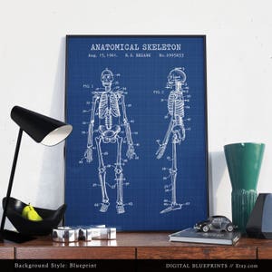 May include: A blueprint style poster featuring a vintage anatomical skeleton diagram. The poster is on a blue background with a grid pattern. The title of the poster is "Anatomical Skeleton" and the patent information is "Aug. 15, 1961. R. S. BEZARK No. 2995833".